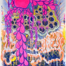 Laurie Steelink