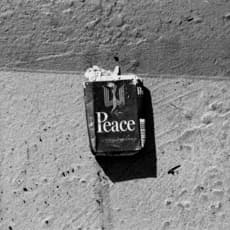 Graham Nash