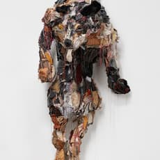 Robb Putnam