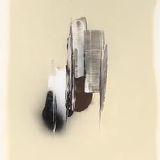 Patrick McMahon