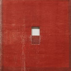 David Ireland