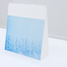 Constance Nouvel