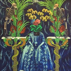 Budi Agung Kuswara